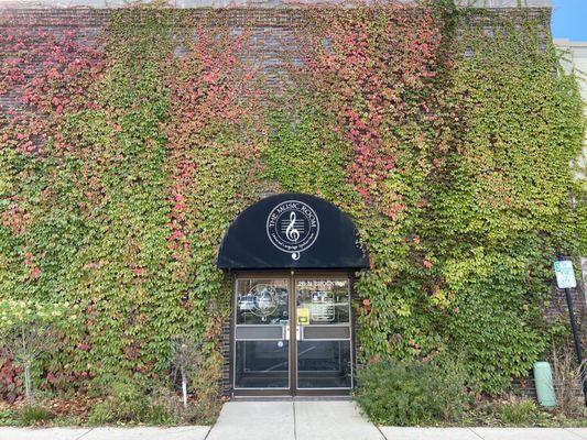 Side entrance to the store, complete with Fall ivy colors!