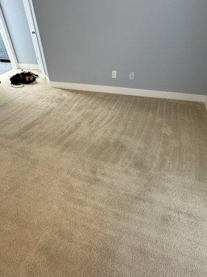 Oops Steam left our carpet in this confition after paying the $500 to clean them.