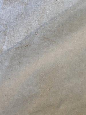 Bed sheets--staff told me it was "dirt"