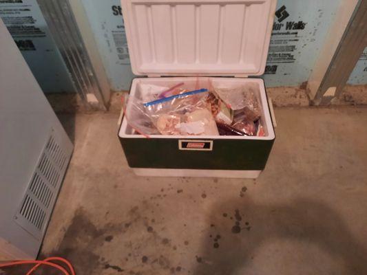 Cooler full of fowl smelling meats