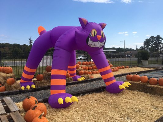 Meadows Farms Nurseries and Landscape