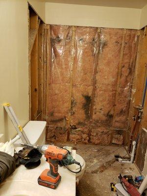 Salesman promised all mold would be removed.  The workers covered it instead.