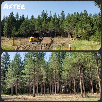 After photo of a lot clearing job for a new home. Over 100 trees removed.