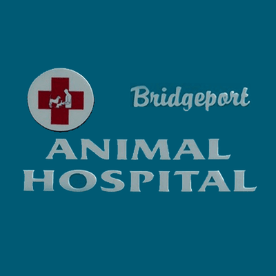 Bridgeport Animal Hospital