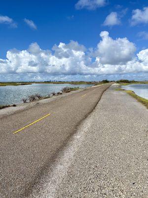 Gorgeous post brunch walk