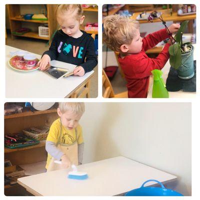 Miniapple International Montessori School