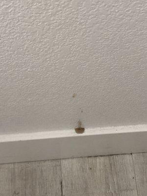 Weird brown stain on the wall