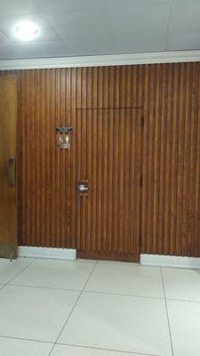 Bathroom door blends with the wood paneling.