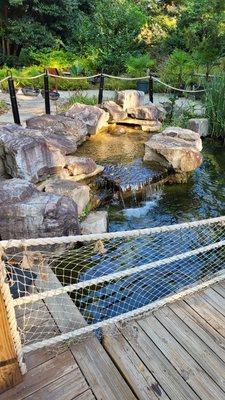 Water feature and shaky bridge.