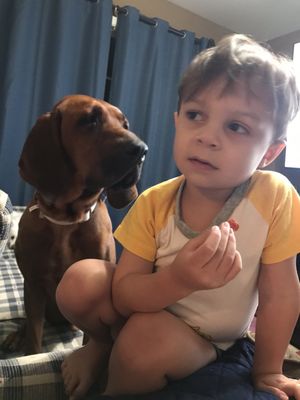 This is acute picture of the 3 year old dog with my 3 year old son.