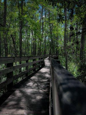 Six Mile Cypress Slough Preserve