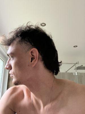 Grew out my hair specifically for a mullet, end result