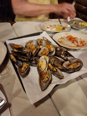 Mussels