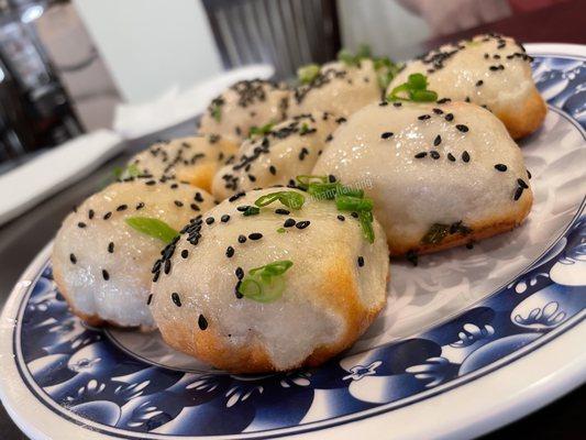 Pan fried dumplings