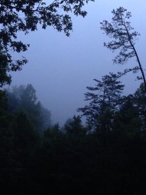 Foggy morning view from the deck