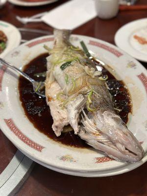 Steamed Fish