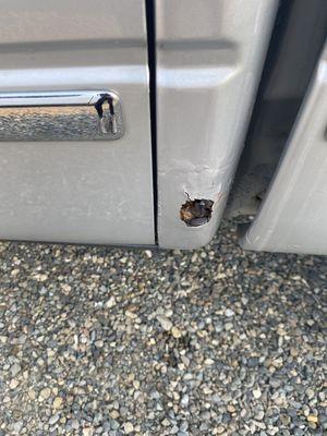 Actual rear-left quarter panel completely rusted out. You can see the rust spreading under the paint. This truck is a write off.