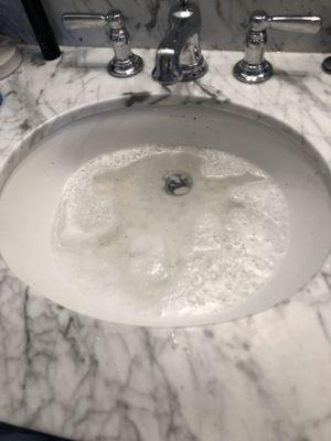 Clogged sink