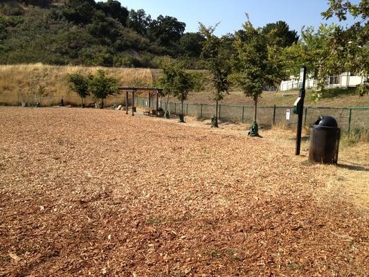 Beautiful park with trees for shade, benches for people, and bags for dog poop.