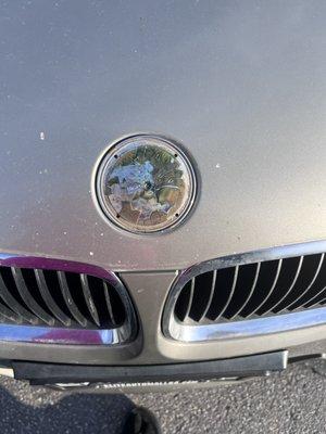 Took Off My BMW Emblem