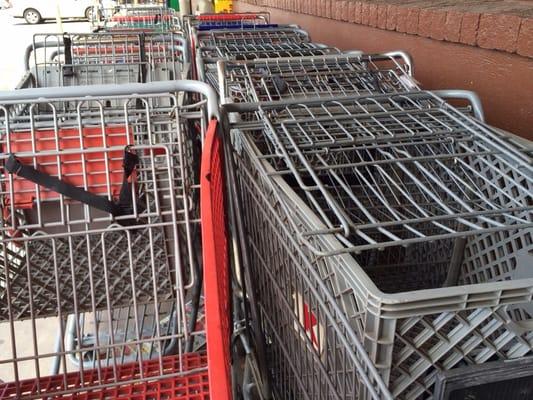 The vast majority of their shopping carts are "borrowed" from other stores.