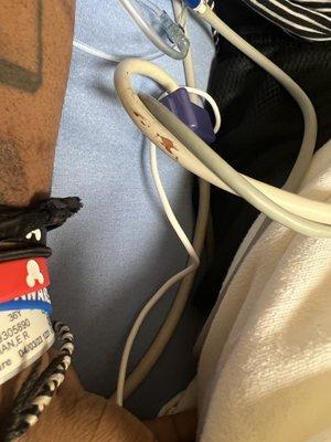 Not my husbands blood on the cords