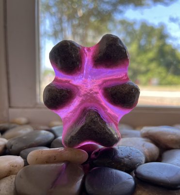 Personalized resin 3-D paw print at Kingsland Georgia location