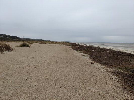 Beach at Fish Haul Beach Park