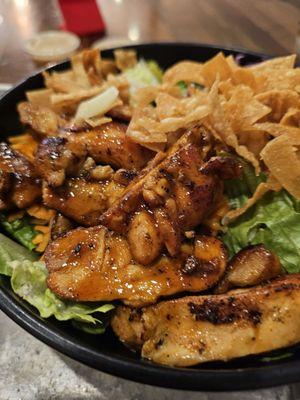 Grilled chicken with side salad