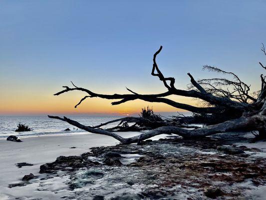 Boneyard beach, sunrise