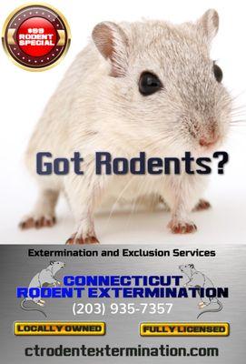 Welcome to Connecticut Rodent Extermination. (203)935-7357 Ask about our $99 Rodent Extermination Special!!! Offer good until 2019