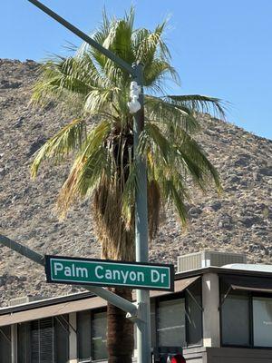 Palm Canyon Dr