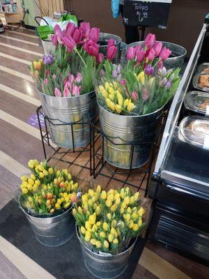 Tulips