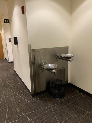 Water fountains.