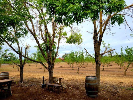 Vineyards