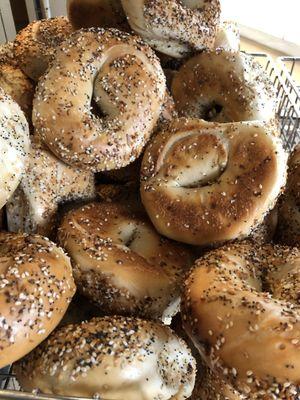 Everything Bagels fresh every morning