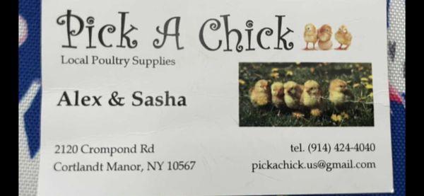 Pick A Chick Store