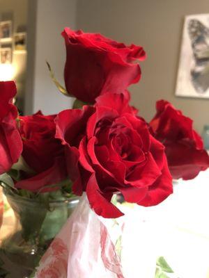 Beautiful red roses