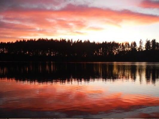 Beautiful view of the lake.