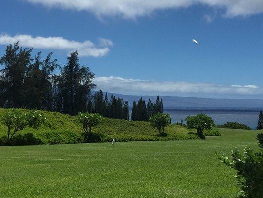 The view from our lanai!