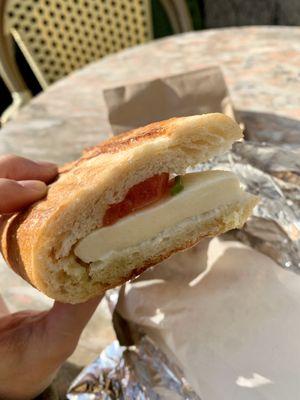 Mozzarella sandwich toasted