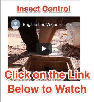 http://bestlasvegaspestcontrol.com/