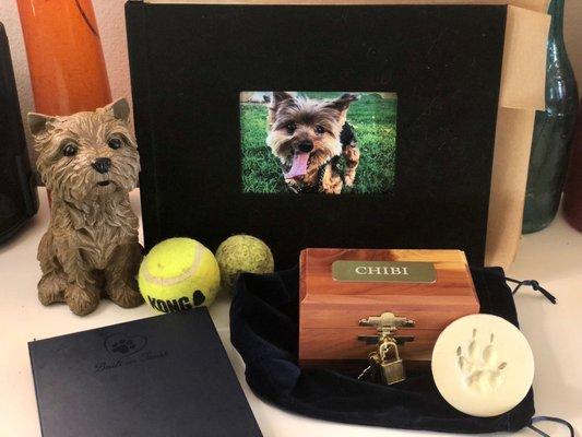 The lovely box and paw print I received yesterday.