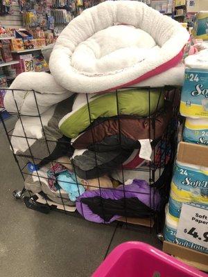 Dog beds