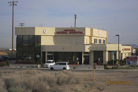 Hesperia Animal Hospital  located on 9540 "I" Ave. Hesperia, Ca 92345