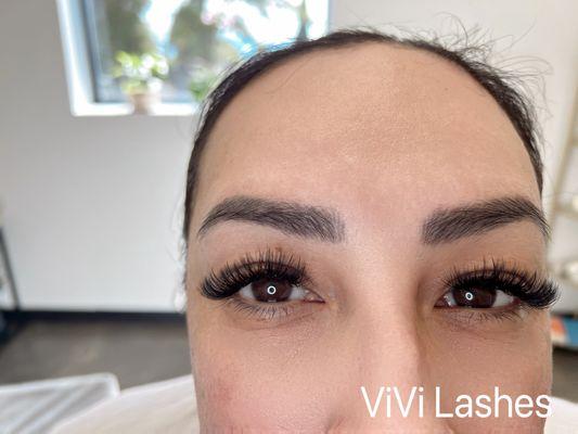 6D volume lashes