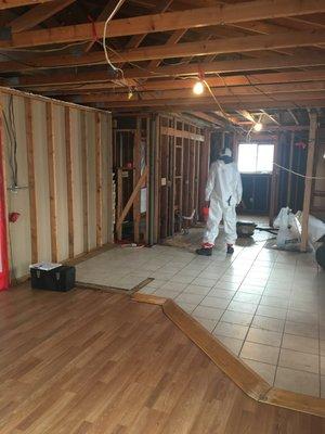 Complete remediation of mold from a residence requires extensive training and experience.