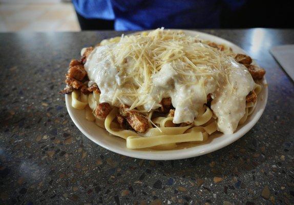 Big plate of Chicken Fettuccine.