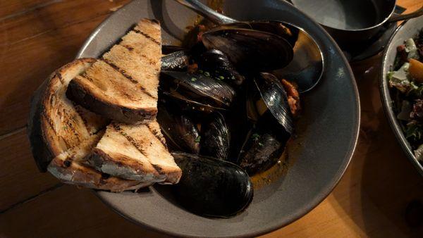 Mussels