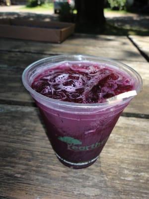 blueberry spritzer